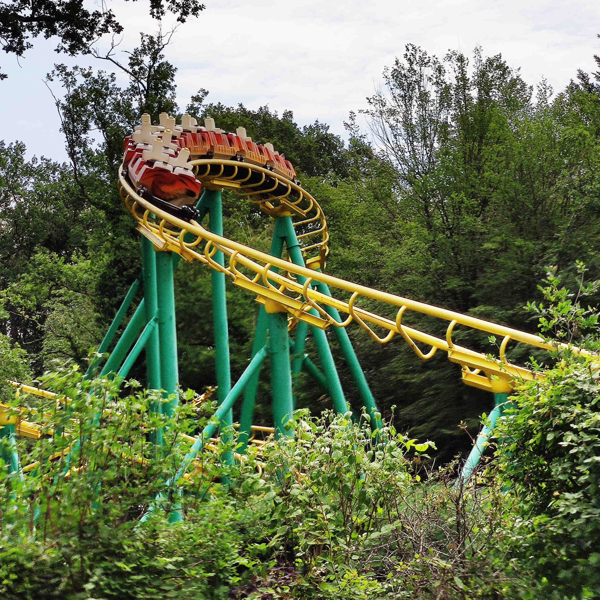 Le Tigre de Sibérie