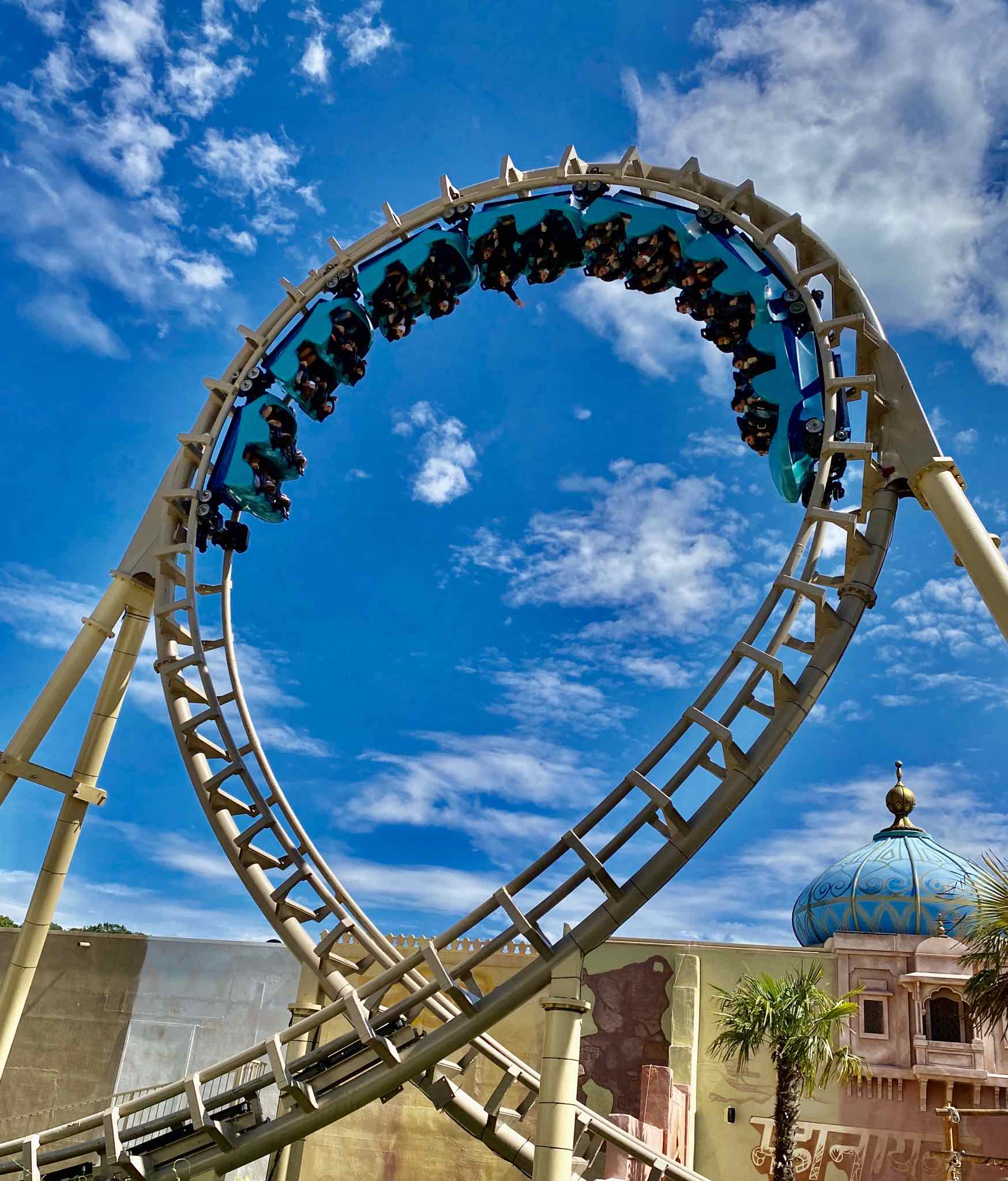 Cobra