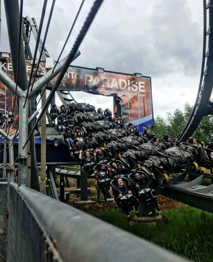 The Swarm